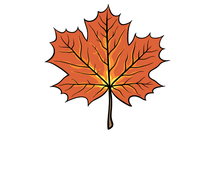 How to draw a maple leaf