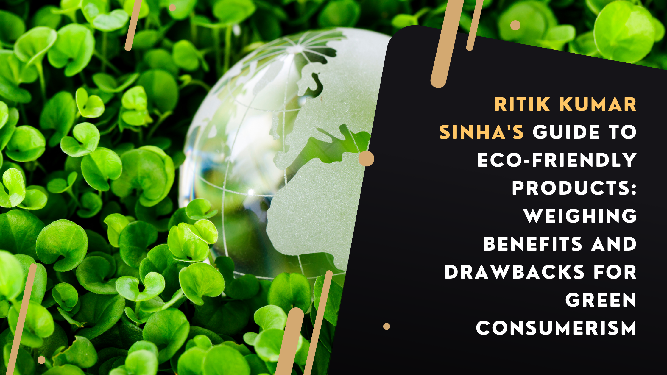 Ritik Kumar Sinha's Guide to Eco-Friendly Products Weighing Benefits and Drawbacks for Green Consumerism